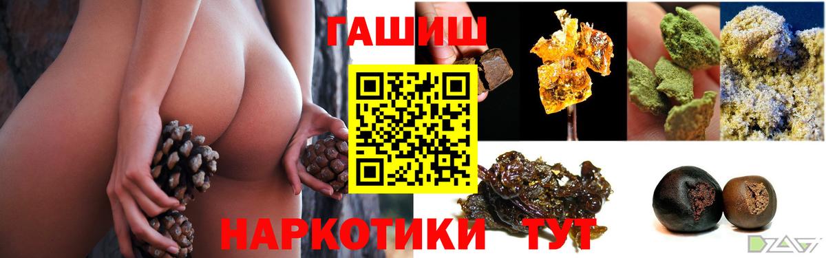 ГАШ гарик Гай