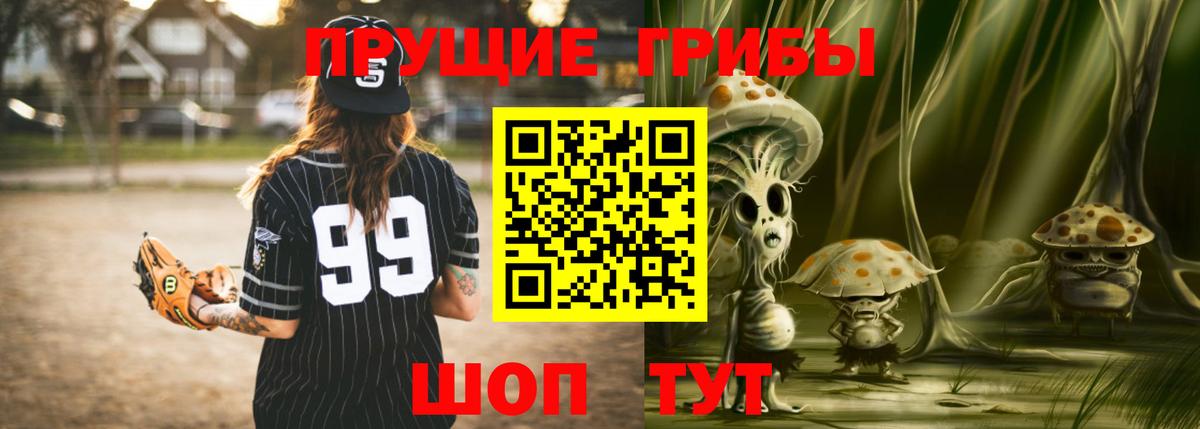 Галлюциногенные грибы Psilocybe Гай