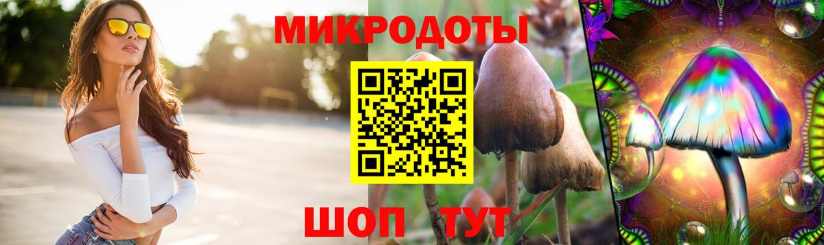 Галлюциногенные грибы мухоморы  Вход с VPN  Гай 