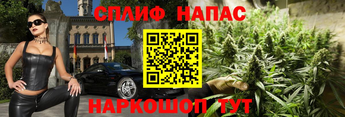 Бошки Шишки сатива Гай